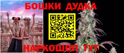 твердый Бийск