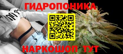 твердый Бийск