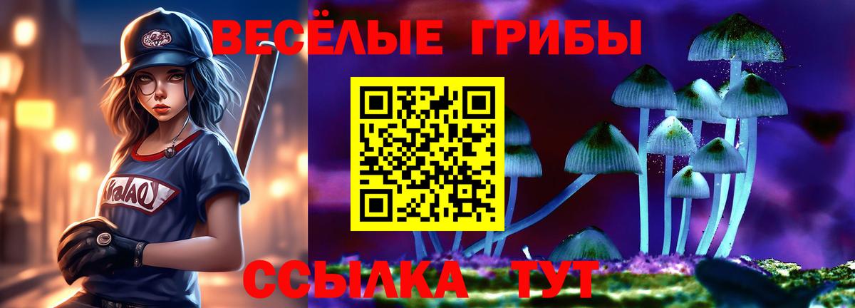 Галлюциногенные грибы мицелий  Вход с VPN  Вичуга  Псилоцибиновые грибы ЛСД 